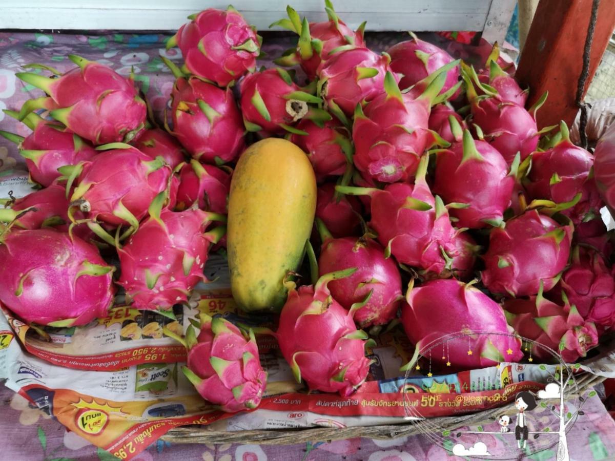דירות וואנג נאם קיאו Baan Suan Plearndara מראה חיצוני תמונה